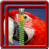 Zipper Lock Screen Parrot icon