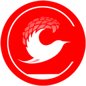 Citi Cabs Driver icon