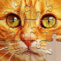 Giochi di Puzzle per adulti