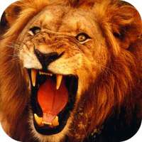 Lion 3D Live Wallpaper on 9Apps
