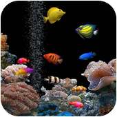 Aquarium Live Wallpaper on 9Apps