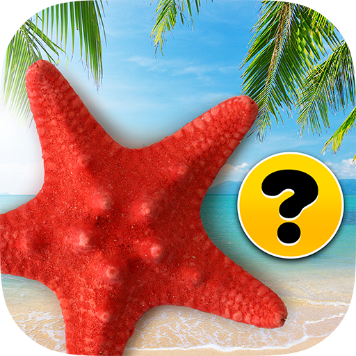 Brain game - Memory training - Beach icon
