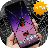 Spider On Screen icon