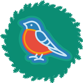 Crazy Bird Puzzle icon
