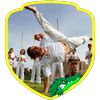Capoeira Training (Guide) icon