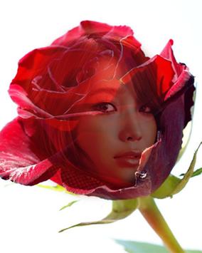 red rose frame transparent screenshot 2