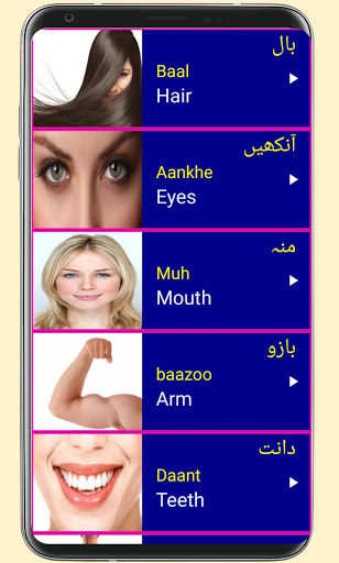 Learn Urdu From English screenshot 3