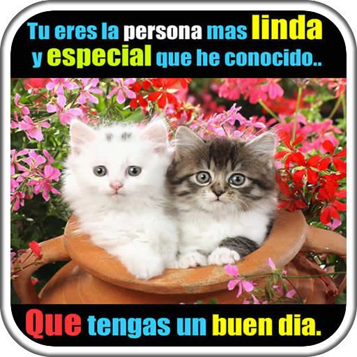 Frases de Cariño con Imagenes أيقونة