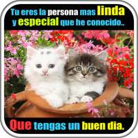 Frases de Cariño con Imagenes on 9Apps