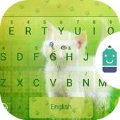 Cute Cat on 9Apps