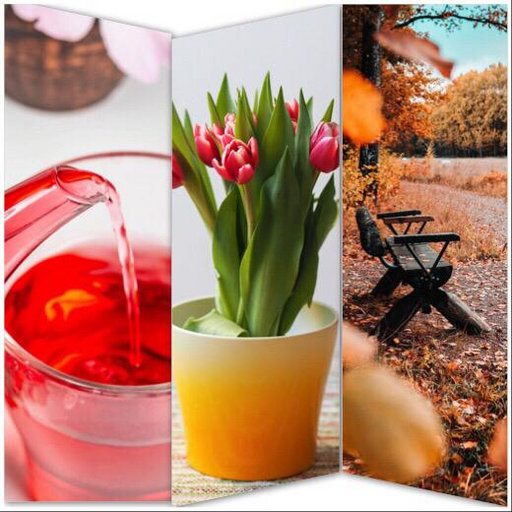 ikon HD Wallpapers Offline