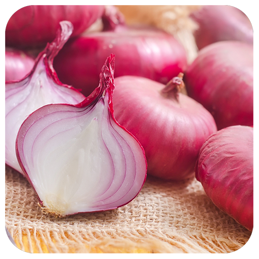 Health Benefits Of Onion icon