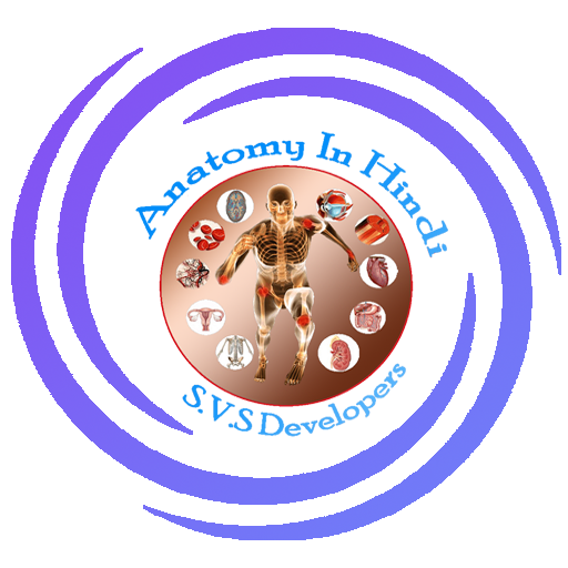 Anatomy &amp; Physiology In Hindi icon