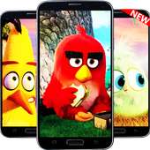 ANGRY BIRD HD WALLPAPER  ✔ NEW ✔