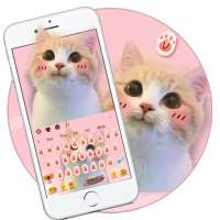 Cute Pink Cat Keyboard on 9Apps