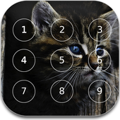 Cat password Lock Screen icon