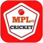 MPL Cricket icon