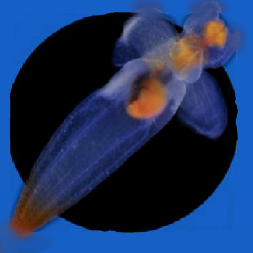 Svalbard Zooplankton Identification App icon
