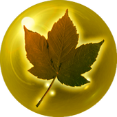 Power Pro Point of Sales icon