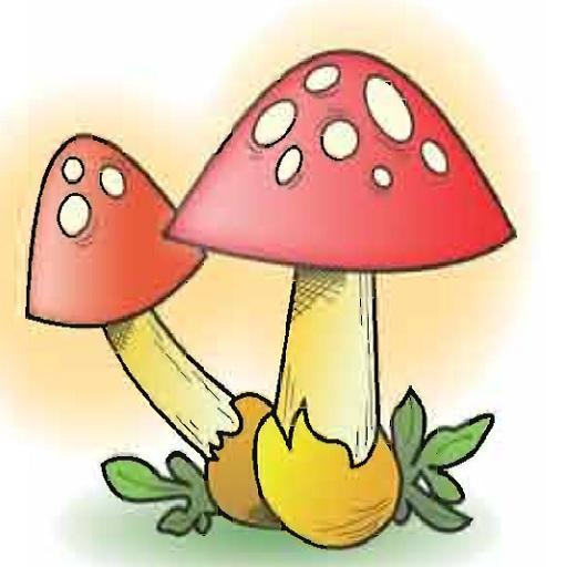 قراءتي أيقونة