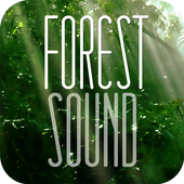 FOREST SOUND - Sound Therapy icon