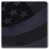 US Citizenship Questionnaire on 9Apps