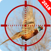 Birds Hunting : Real Birds Shooting 3D icon