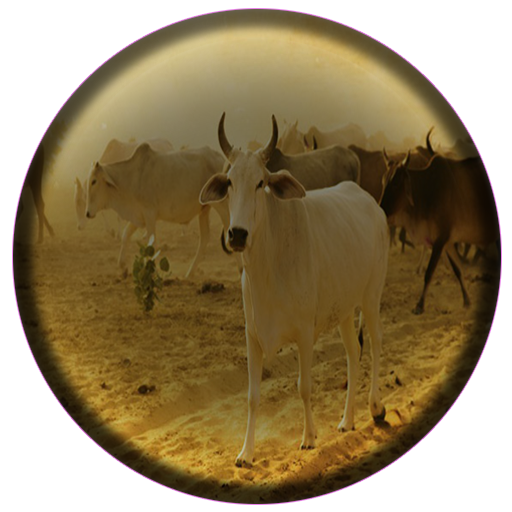 Animal Husbandry Tips icon