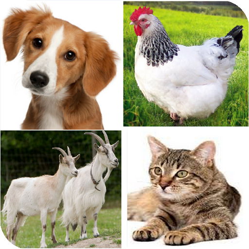 The names of the animals in French language icon