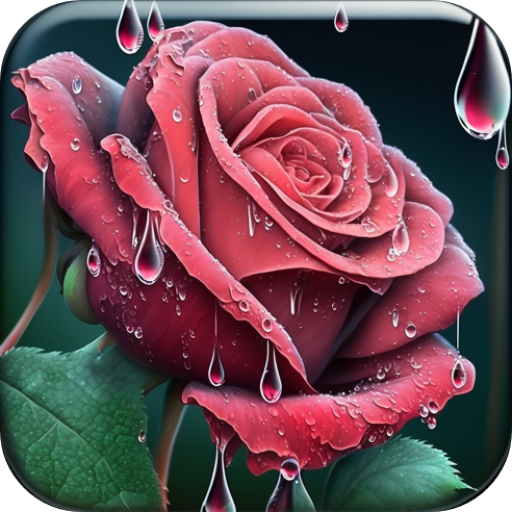 Roses Water Live Wallpaper icon