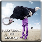 Funny Videos Laugh icon