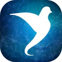 Masterclass Desbloquea tu Abundancia Subconsciente