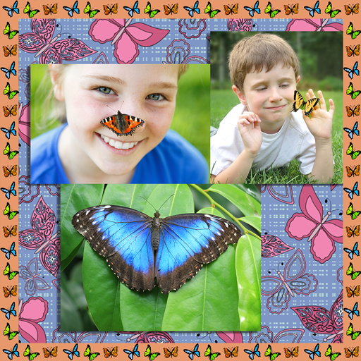 Butterfly Photo Collage icon