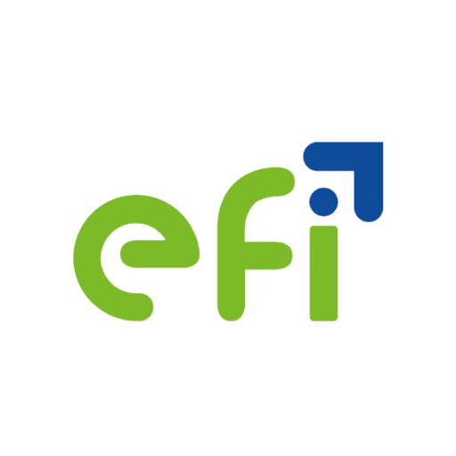 EFI icon