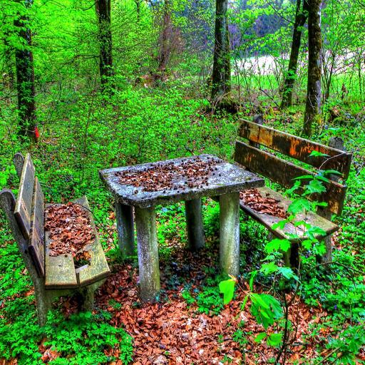 Misc Live Images icon