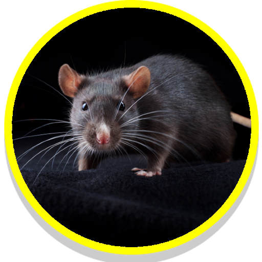 Rat Sounds icon