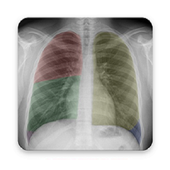 CHEST X RAY MASTER icon