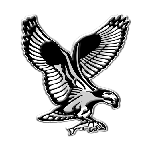 Fish Hawk icon