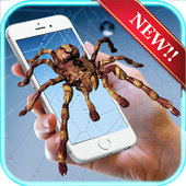 Real Spider walks on Screen joke - Spider prank icon