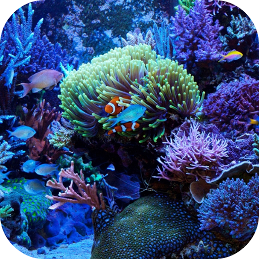 Marine Aquarium Live Wallpaper icon