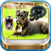 Animal Cell Phone Ringtones icon