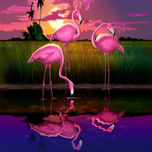 Flamingo Wallpaper icon