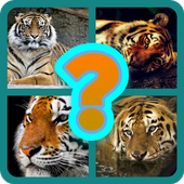 4 Pics 1 Animal - Guess the Animal icon