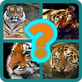 4 Pics 1 Animal - Guess the Animal