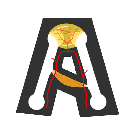 Anato - Aprenda Anatomia Humana em Português icon