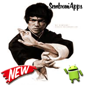 Learn the wing chun technique icon