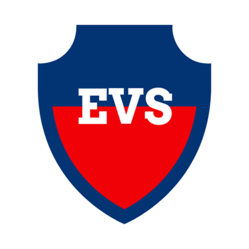 Election Voting System icon