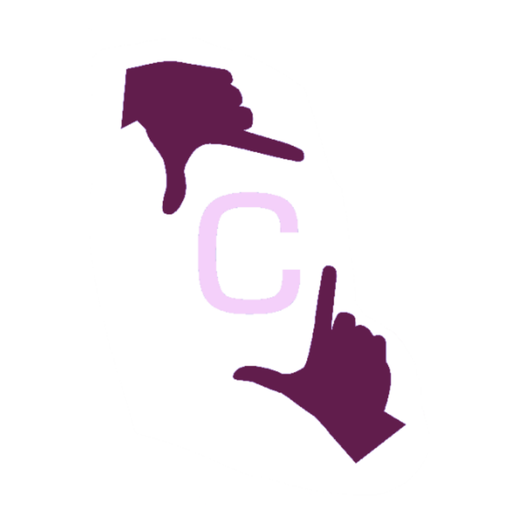 Capture Photo and Video icon