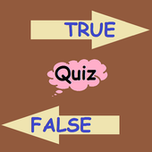 True or False icon