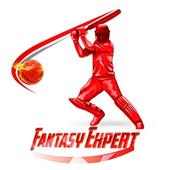 Fantasy Expert
